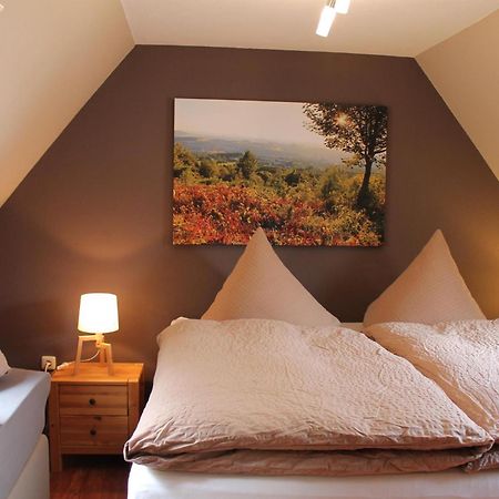 Appartements Im "Landhaus Am Frohnauer Hammer" Annaberg-Buchholz Bagian luar foto