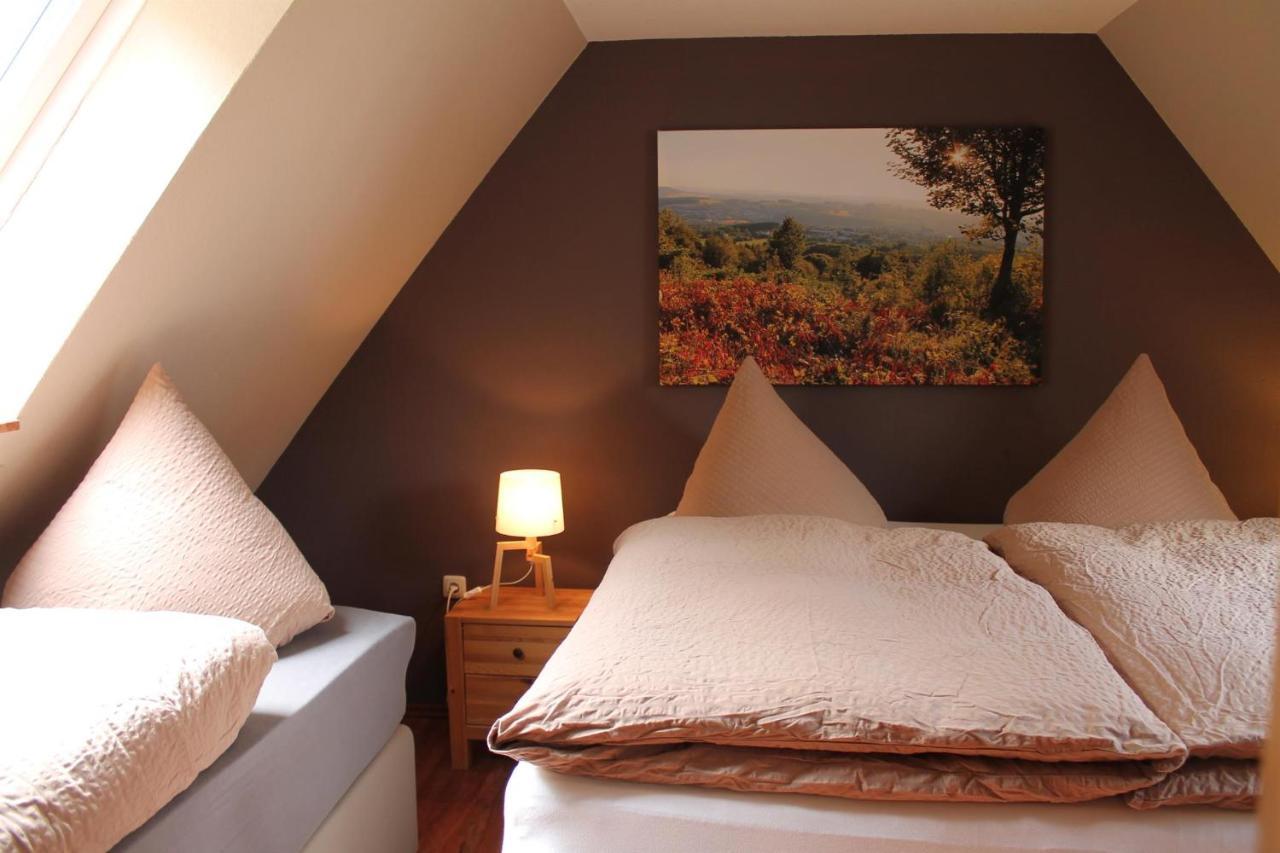 Appartements Im "Landhaus Am Frohnauer Hammer" Annaberg-Buchholz Bagian luar foto