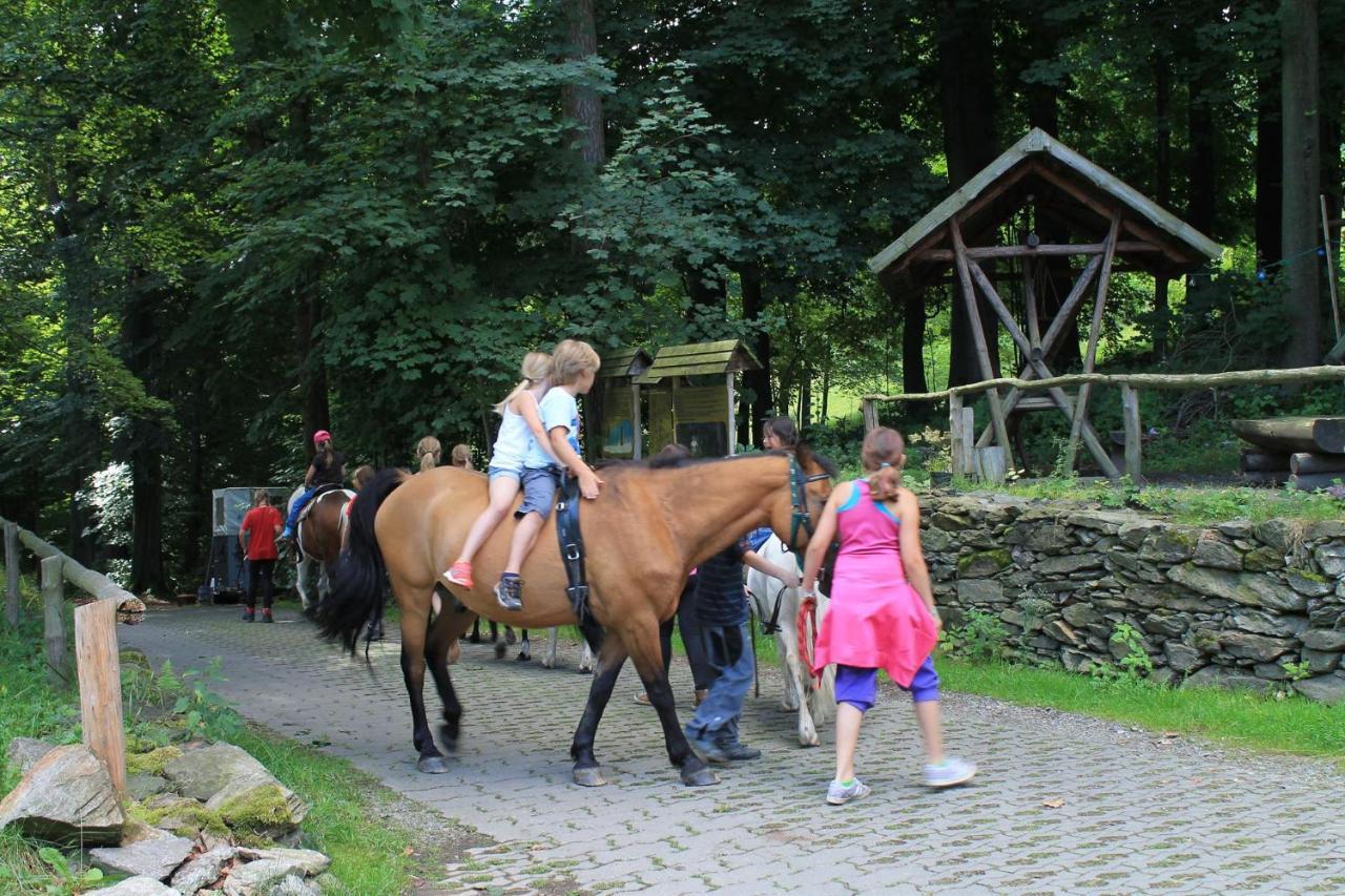 Appartements Im "Landhaus Am Frohnauer Hammer" Annaberg-Buchholz Bagian luar foto